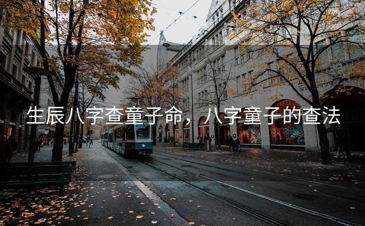 生辰八字查童子命，八字童子的查法