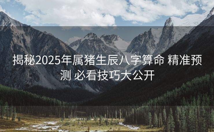 揭秘2025年属猪生辰八字算命 精准预测 必看技巧大公开