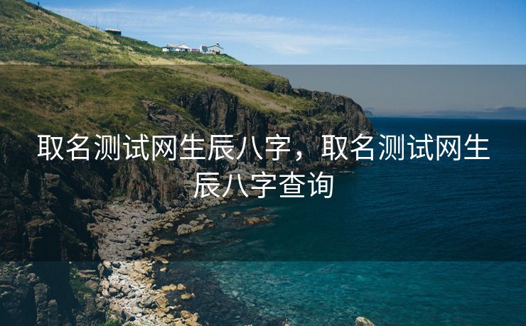 取名测试网生辰八字，取名测试网生辰八字查询