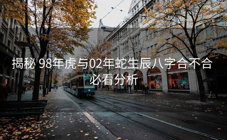 揭秘 98年虎与02年蛇生辰八字合不合 必看分析