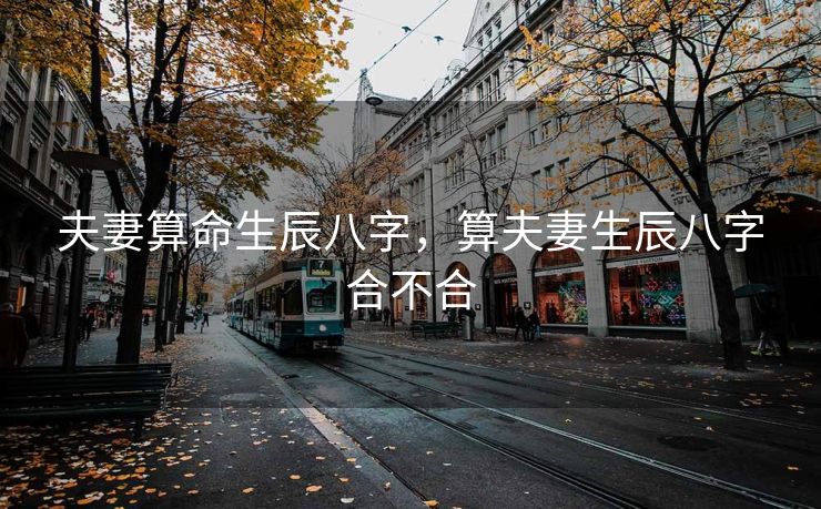 夫妻算命生辰八字，算夫妻生辰八字合不合