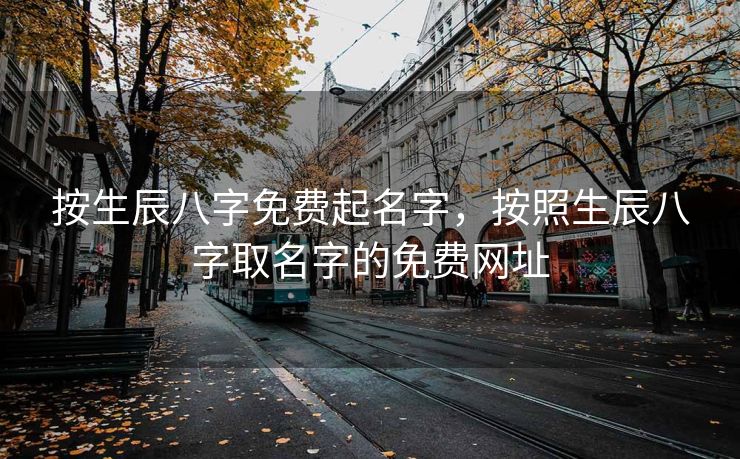 按生辰八字免费起名字，按照生辰八字取名字的免费网址