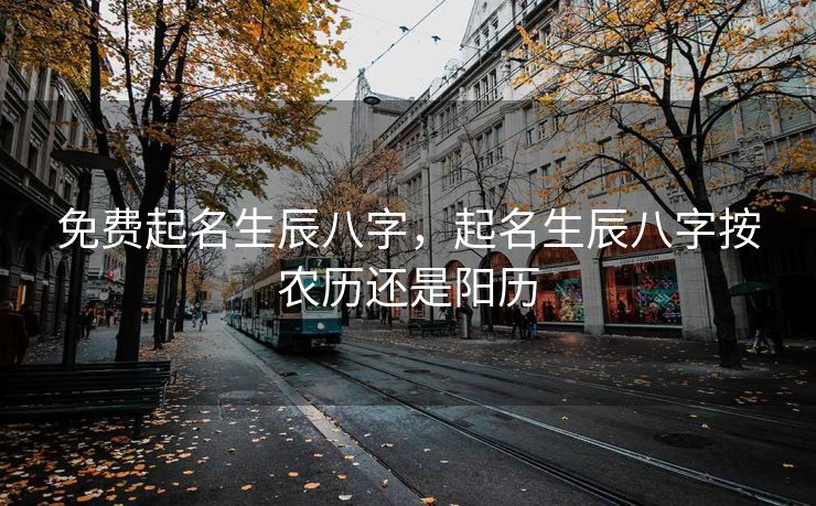 免费起名生辰八字，起名生辰八字按农历还是阳历
