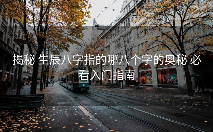 揭秘 生辰八字指的哪八个字的奥秘 必看入门指南