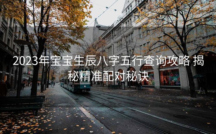 2023年宝宝生辰八字五行查询攻略 揭秘精准配对秘诀