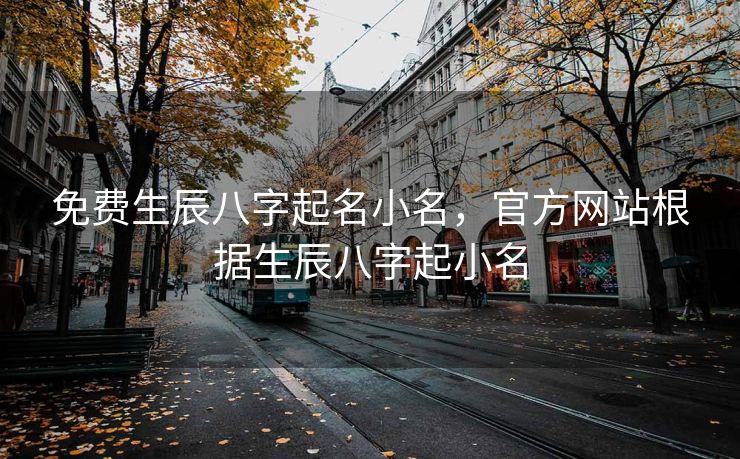 免费生辰八字起名小名，官方网站根据生辰八字起小名