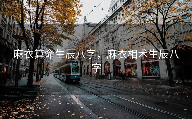 麻衣算命生辰八字，麻衣相术生辰八字