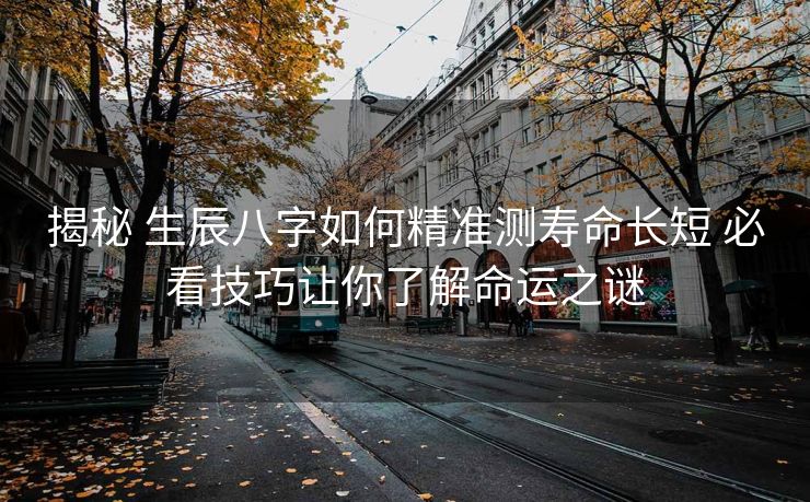 揭秘 生辰八字如何精准测寿命长短 必看技巧让你了解命运之谜