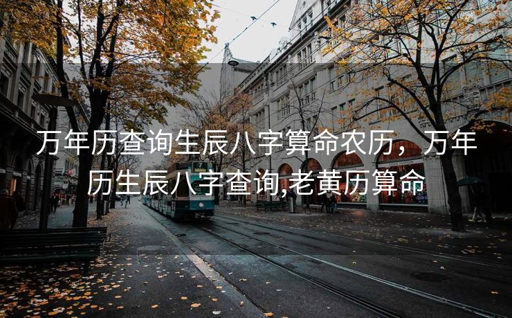 万年历查询生辰八字算命农历，万年历生辰八字查询,老黄历算命
