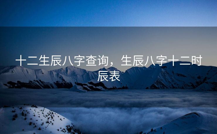 十二生辰八字查询，生辰八字十二时辰表