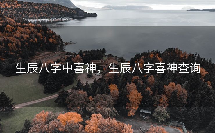 生辰八字中喜神，生辰八字喜神查询
