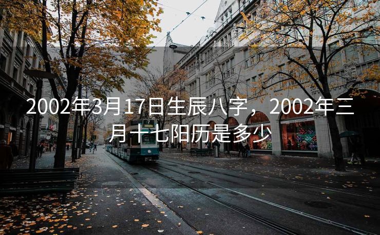 2002年3月17日生辰八字，2002年三月十七阳历是多少