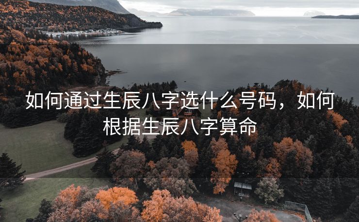 如何通过生辰八字选什么号码，如何根据生辰八字算命