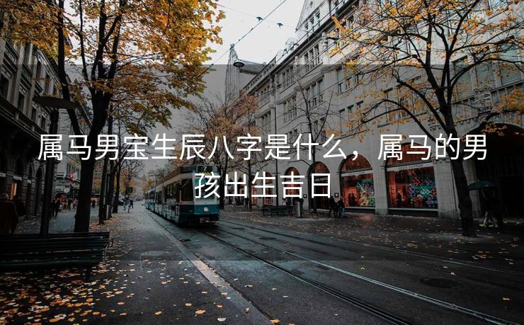 属马男宝生辰八字是什么，属马的男孩出生吉日