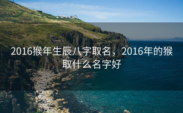 2016猴年生辰八字取名，2016年的猴取什么名字好