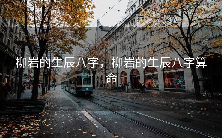 柳岩的生辰八字，柳岩的生辰八字算命