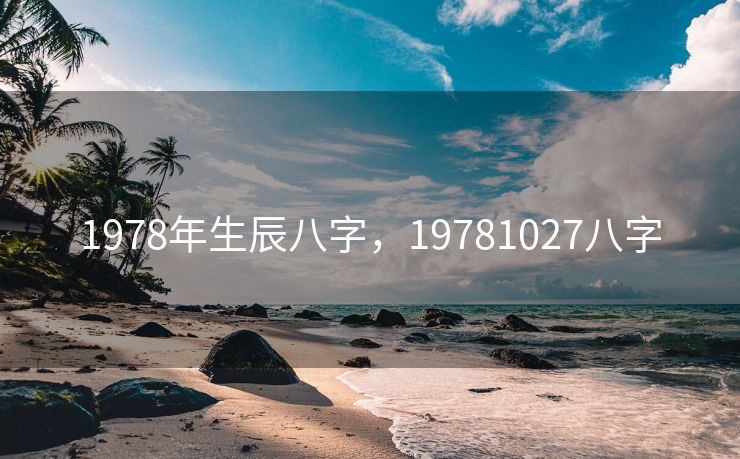 1978年生辰八字，19781027八字