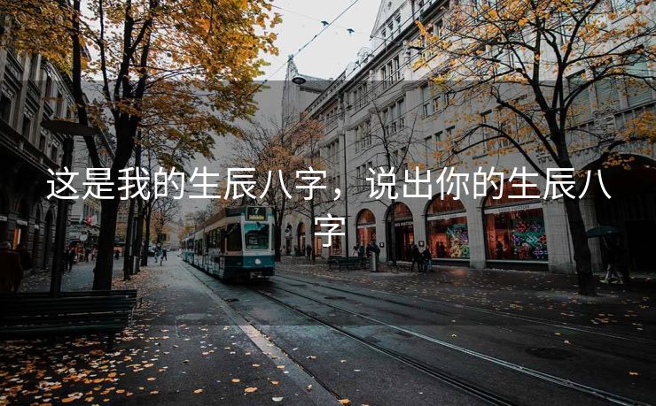 这是我的生辰八字，说出你的生辰八字