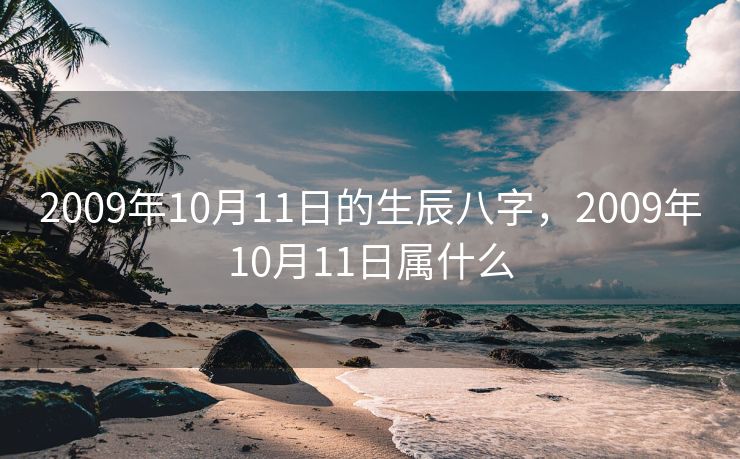 2009年10月11日的生辰八字，2009年10月11日属什么