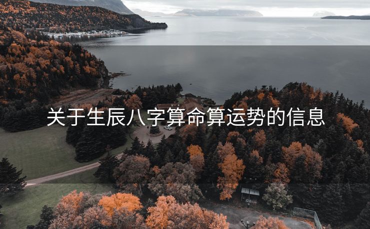 关于生辰八字算命算运势的信息