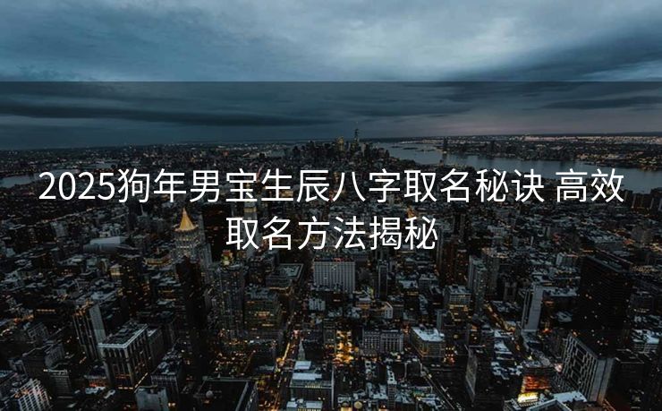 2025狗年男宝生辰八字取名秘诀 高效取名方法揭秘