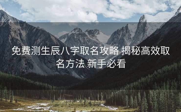 免费测生辰八字取名攻略 揭秘高效取名方法 新手必看