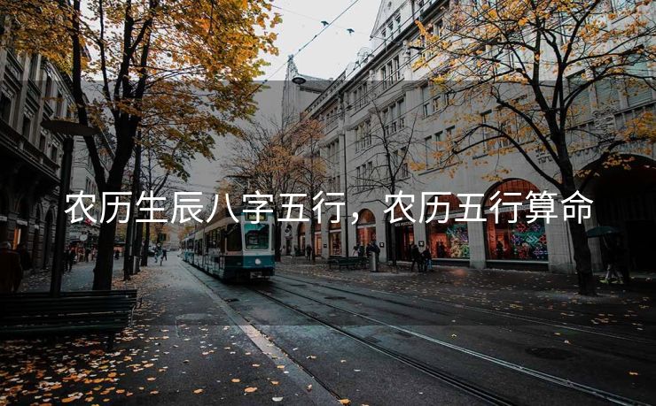 农历生辰八字五行，农历五行算命