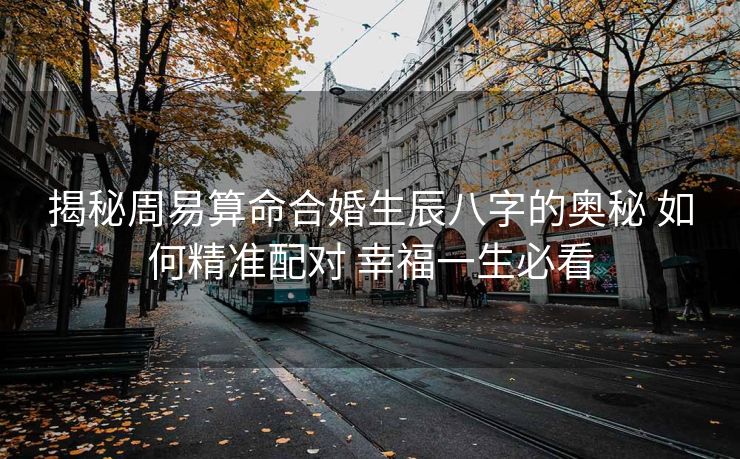 揭秘周易算命合婚生辰八字的奥秘 如何精准配对 幸福一生必看