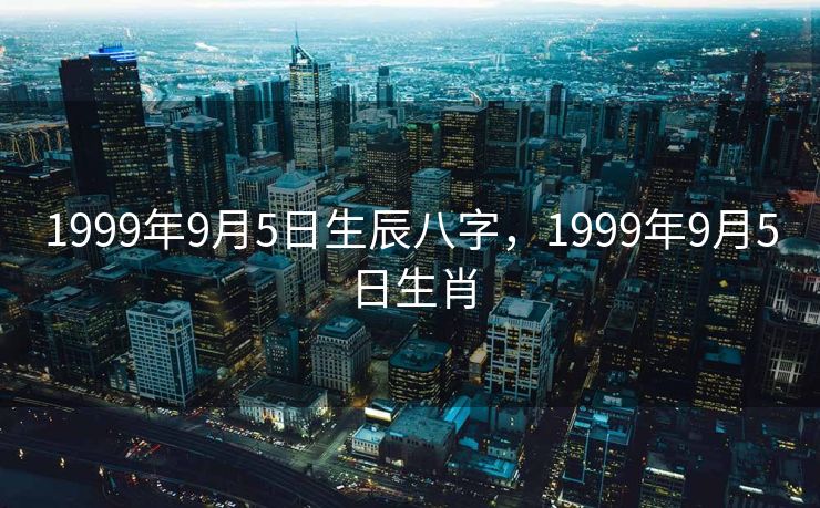 1999年9月5日生辰八字，1999年9月5日生肖