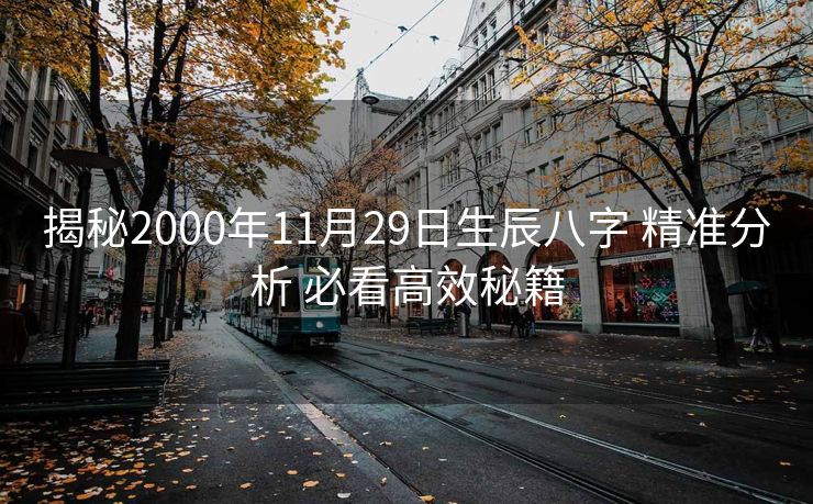 揭秘2000年11月29日生辰八字 精准分析 必看高效秘籍