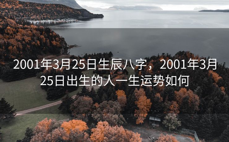 2001年3月25日生辰八字，2001年3月25日出生的人一生运势如何