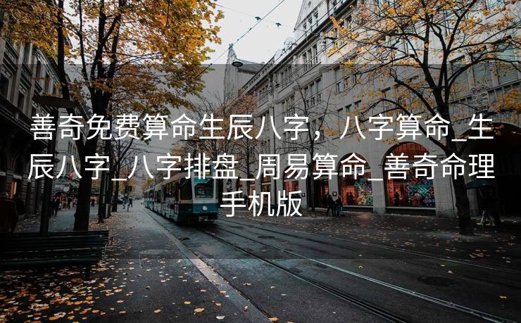 善奇免费算命生辰八字，八字算命_生辰八字_八字排盘_周易算命_善奇命理手机版