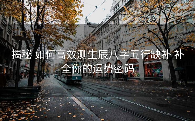 揭秘 如何高效测生辰八字五行缺补 补全你的运势密码 揭秘 如何高效测生辰八字五行缺补 补全你的运势密码