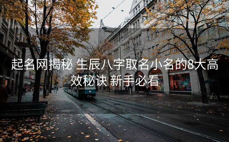 起名网揭秘 生辰八字取名小名的8大高效秘诀 新手必看